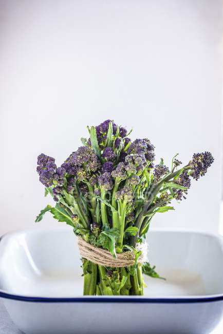 Bundle of purple sprouting broccoli — Stock Photo
