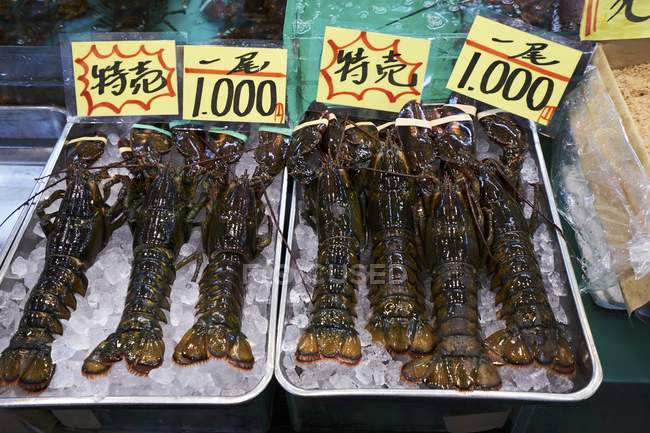 Vue élevée des homards sur la glace avec des étiquettes de prix — Photo de stock