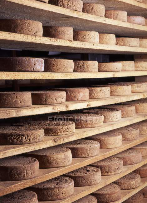 Wheels of Toma cheese — Stock Photo