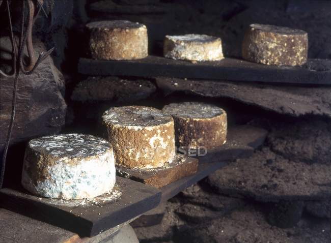 Smoked Toma cheese — Stock Photo