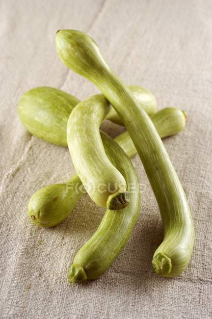 Zucchine italiane fresche — Foto stock