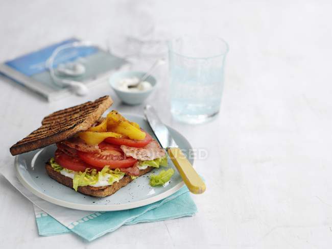 Sandwich tostado en plato - foto de stock