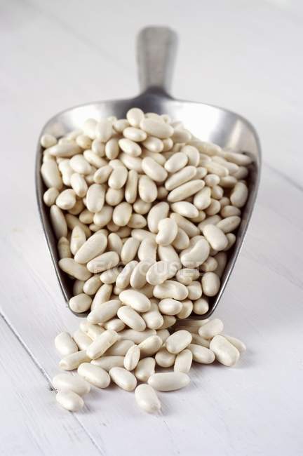 White cannellini beans — Stock Photo