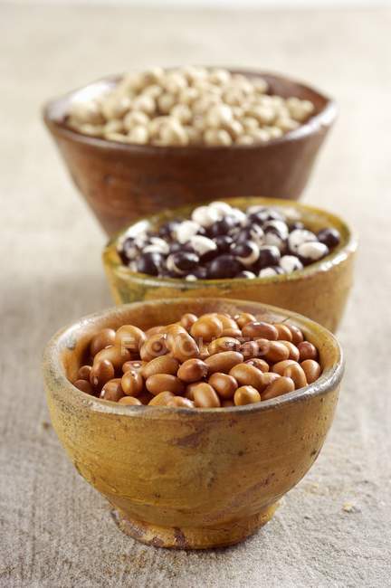 Various types of beans — Stock Photo