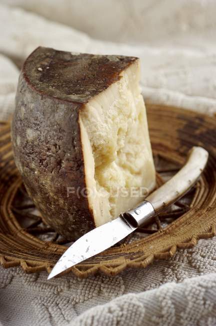 Сардинский овечий сыр — стоковое фото