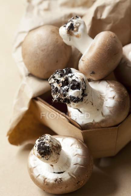 Fresh Button mushrooms — Stock Photo