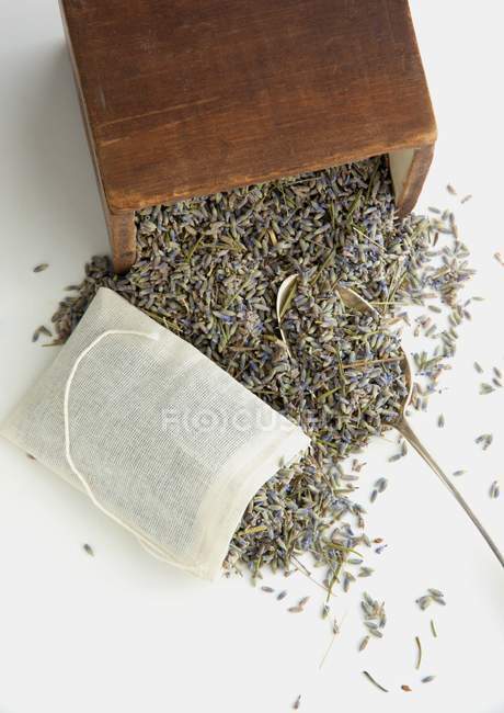 Dried lavender flowers — Stock Photo