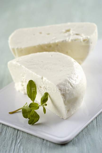 Сир на білій тарілці — стокове фото