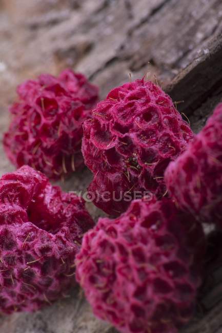 Red Dried raspberries — Stock Photo