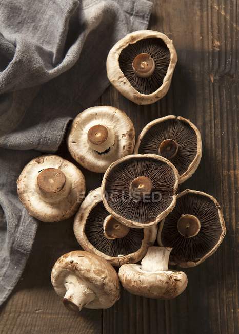 Cogumelos crus frescos com guardanapo — Fotografia de Stock