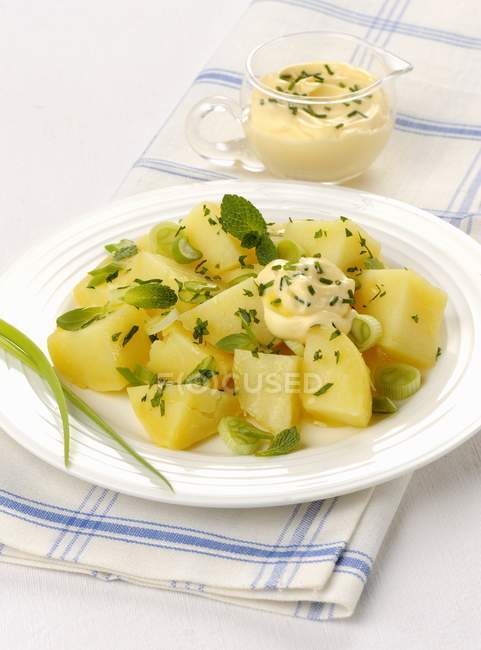Potato salad with herbs and mayonnaise — Stock Photo