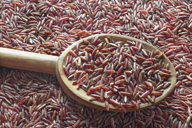 Червоний рис на ложці — стокове фото