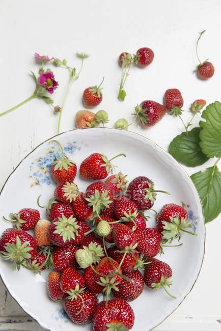 Strawberries in porcelain bowl — Stock Photo