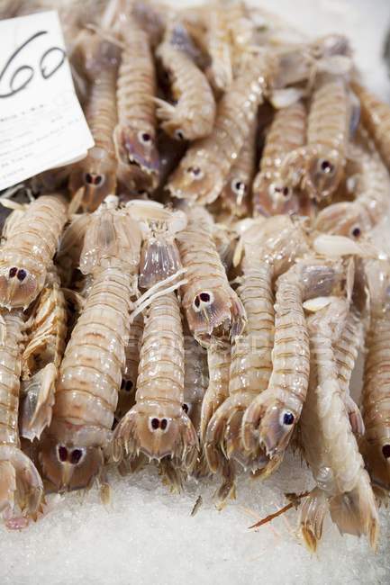 Tas de crevettes crues — Photo de stock