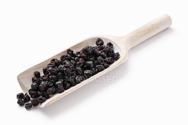 Dried blackcurrants on wooden scoop — Stock Photo