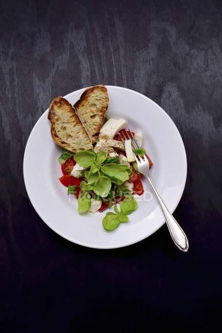 Tomaten-Mozzarella-Salat mit knusprigem Brot — Stockfoto