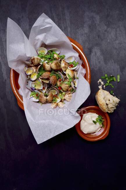 Top view of clams with herbs, bread and cream — Stock Photo