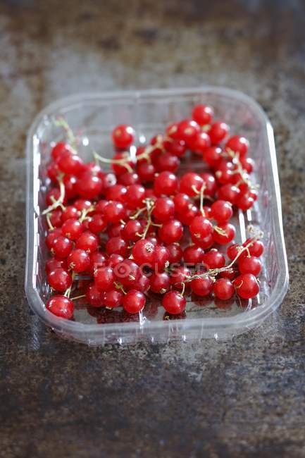Ribes rosso in punnet di plastica — Foto stock
