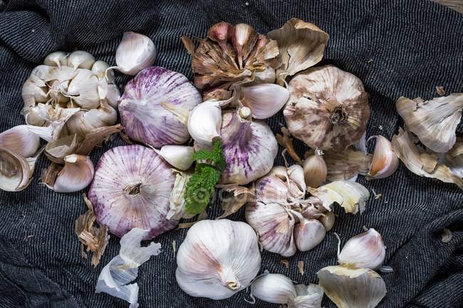 Purple garlic bulbs and cloves — Stock Photo