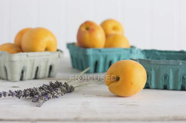 Apricots and lavender in bowls — Stock Photo