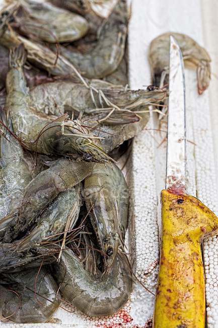 Fresh prawns with knife — Stock Photo
