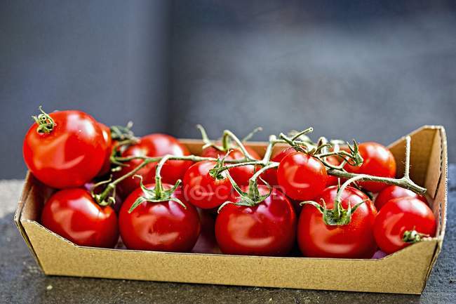 Pomodori di vite in cartone — Foto stock