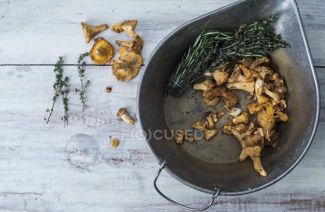 Chanterelle mushrooms in a cast iron bowl with fresh thyme and rosemary on a white wooden surface — Stock Photo