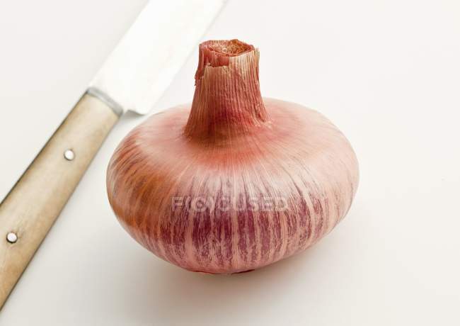 Shallot with a knife on the table — Stock Photo