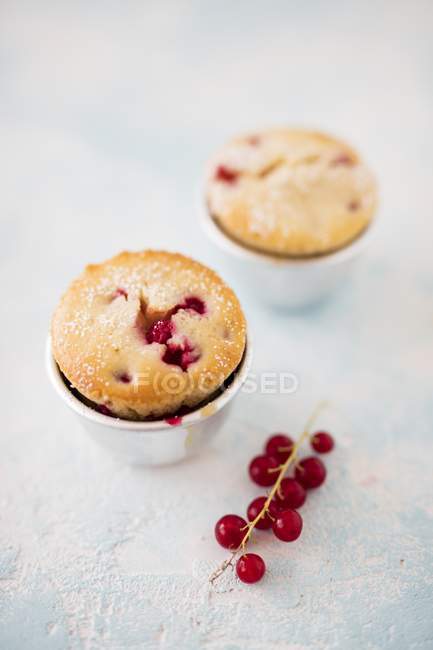 Muffins com groselhas vermelhas — Fotografia de Stock
