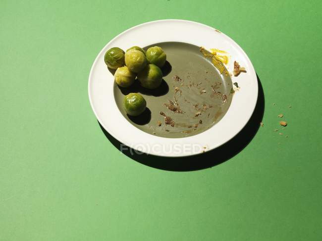 Plate with leftover sprouts — Stock Photo