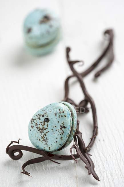 Blue macarons with chocolate twigs — Stock Photo
