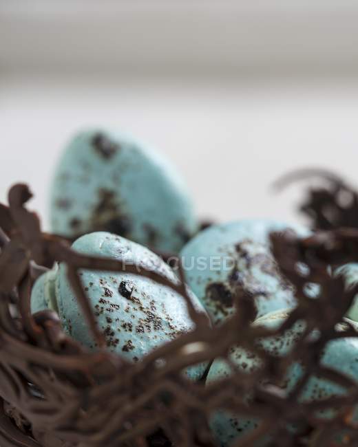 Blue macarons in chocolate nest — Stock Photo