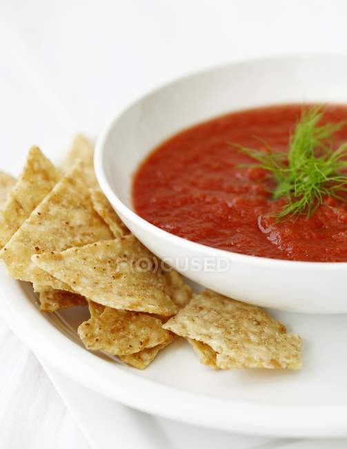 Tomatensuppe in Schüssel mit Tortilla-Chips — Stockfoto