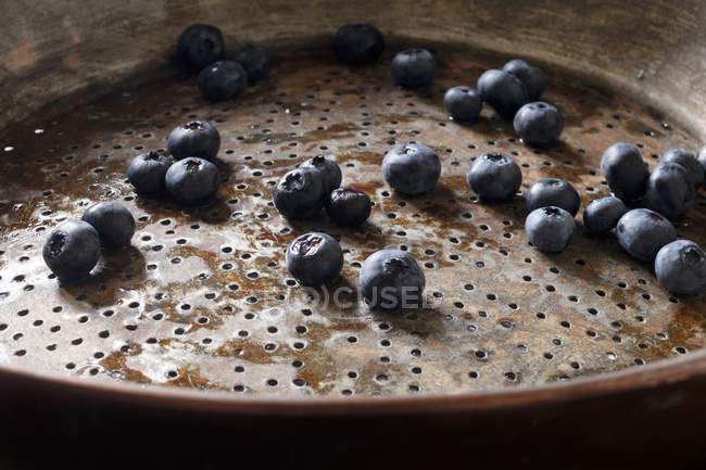 Frisch gewaschene Blaubeeren — Stockfoto