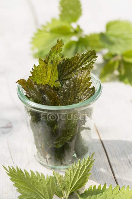 Feuilles d'ortie piquantes frites dans un pot en verre sur une surface en bois — Photo de stock