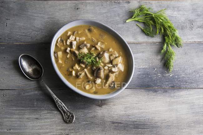 Mushroom soup with dill in bowl — Stock Photo