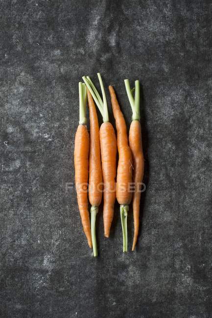 Fünf Baby-Karotten — Stockfoto