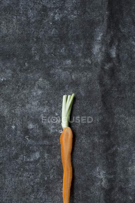 Fresh picked baby carrot — Stock Photo
