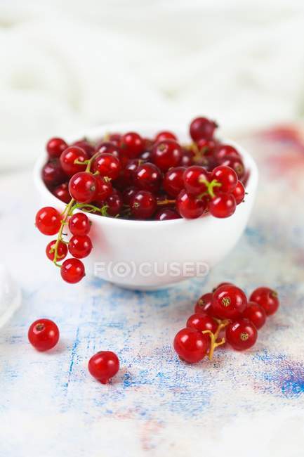 Bowl of fresh redcurrants — Stock Photo