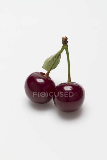 Fresh sour cherries — Stock Photo
