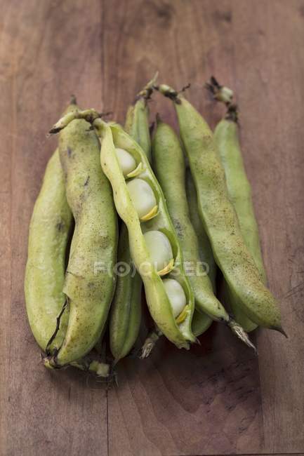 Broad beans in pods — Stock Photo