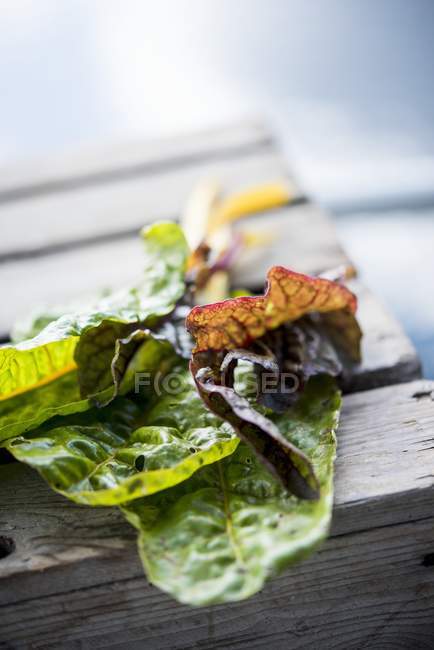 Several leaves of chard on a wooden crate with blurred background — Stock Photo