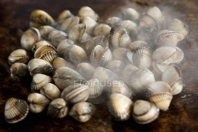 Closeup view of steaming grilled cockles — Stock Photo