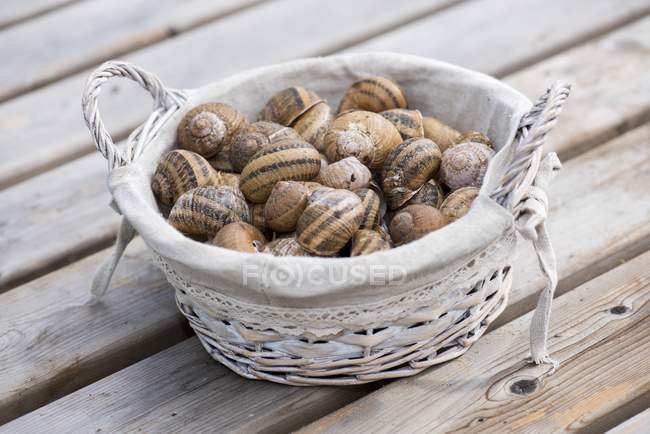 Closeup view of snails heap in wicker basket — Stock Photo