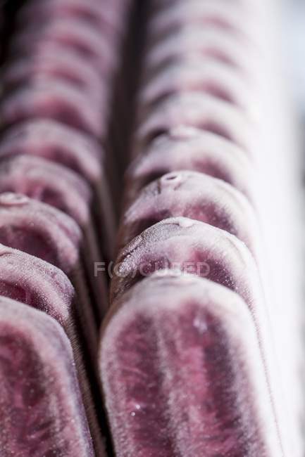 Ice lollies standing in a row — Stock Photo