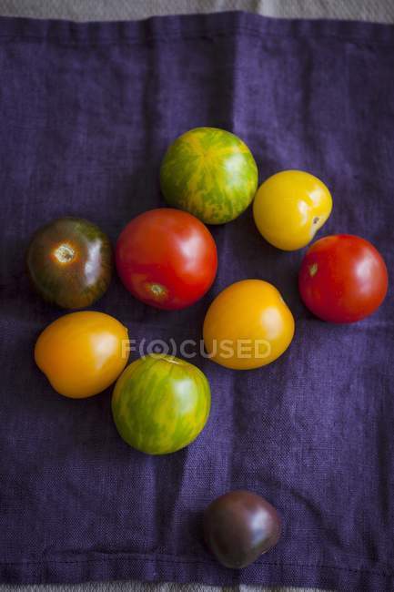 Different-colured tomatoes — Stock Photo