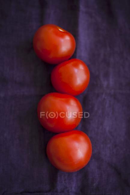 Чотири червоні помідори — стокове фото