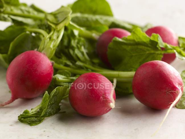 Fresh radishes with leaves — Stock Photo