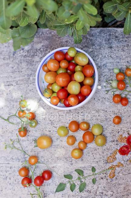 Tomates cherry italianos - foto de stock