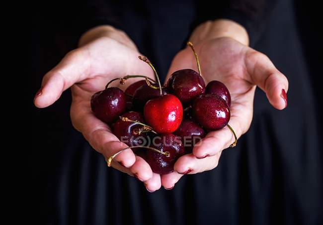 Female hands holding cherries — Stock Photo